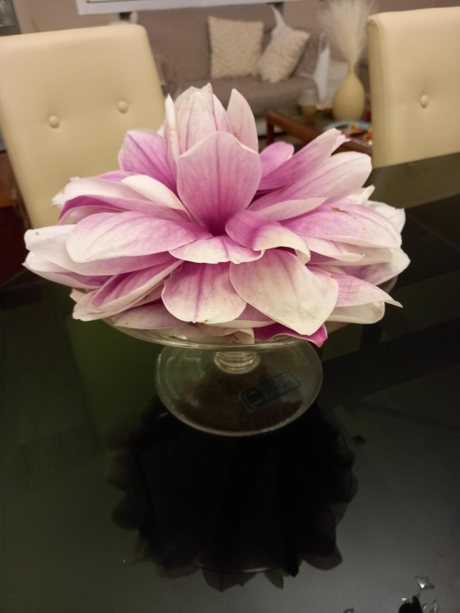 Fausto&Deby Apartment Oriago المظهر الخارجي الصورة
